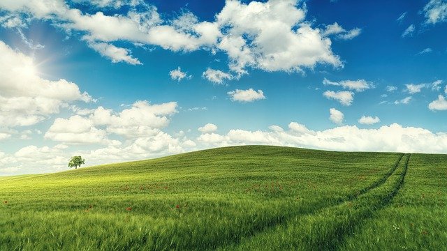 113年度第2場推展校園在地化防災教育教學模組撰寫實務工作坊