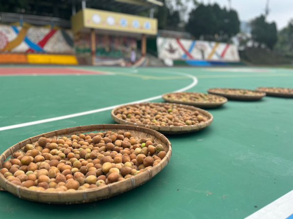 20230428長興國小一訪