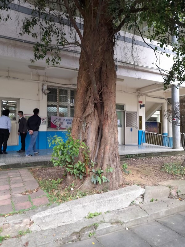 20210406桃園市大溪區員樹林國小校園防災基礎建置學校第一次訪視