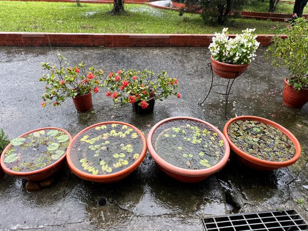 20230420凌雲國中一訪