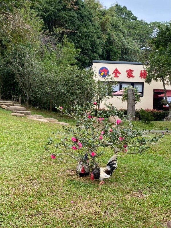 20201229團務會議