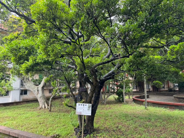 20240513大坡國小第一次訪視
